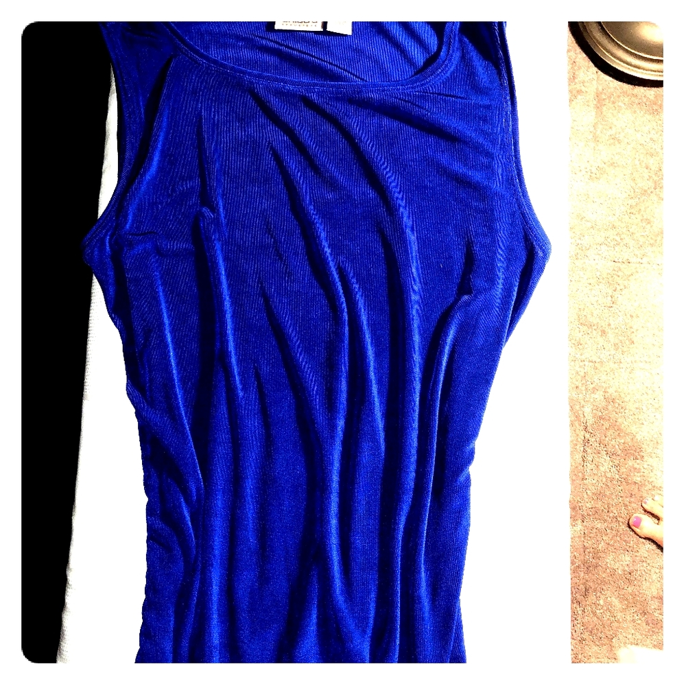 Chicos royal blue cami